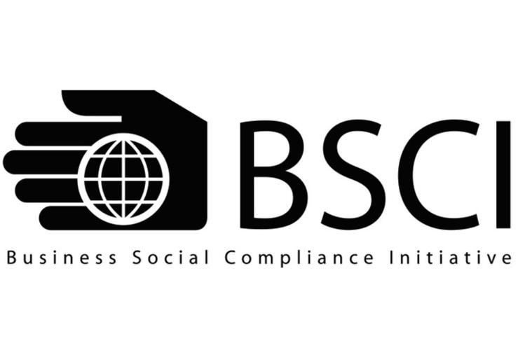 bsci认证需要多少钱，在6000至7000元（BSCI认证