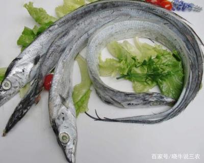 高血压患者可以吃黄鳝吗?血糖血脂高可以吃带鱼吗?